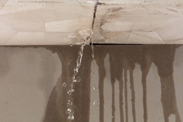Professional Commercial Water Damage Restoration technician working in Island Lake, IL